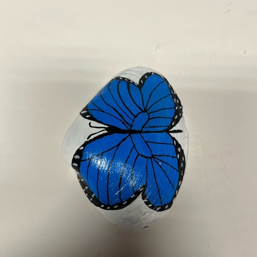 Hand Painted Butterfly Shell - Picture 7 of 10